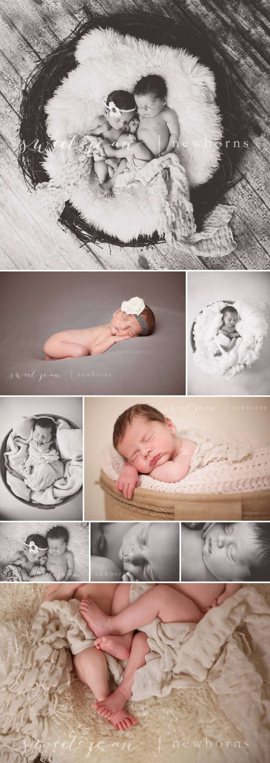 Roseville Newborn Twin Photographer