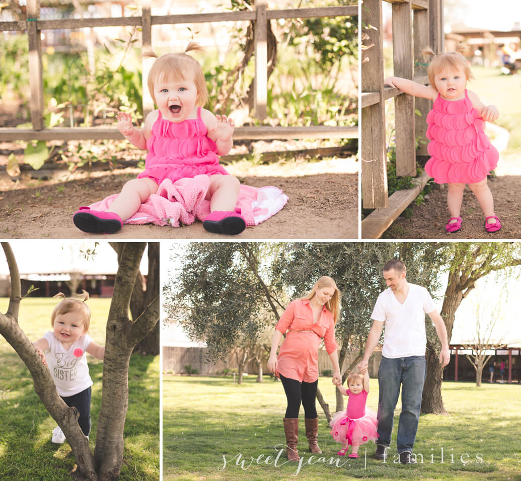 Roseville Maternity & Baby Photographer