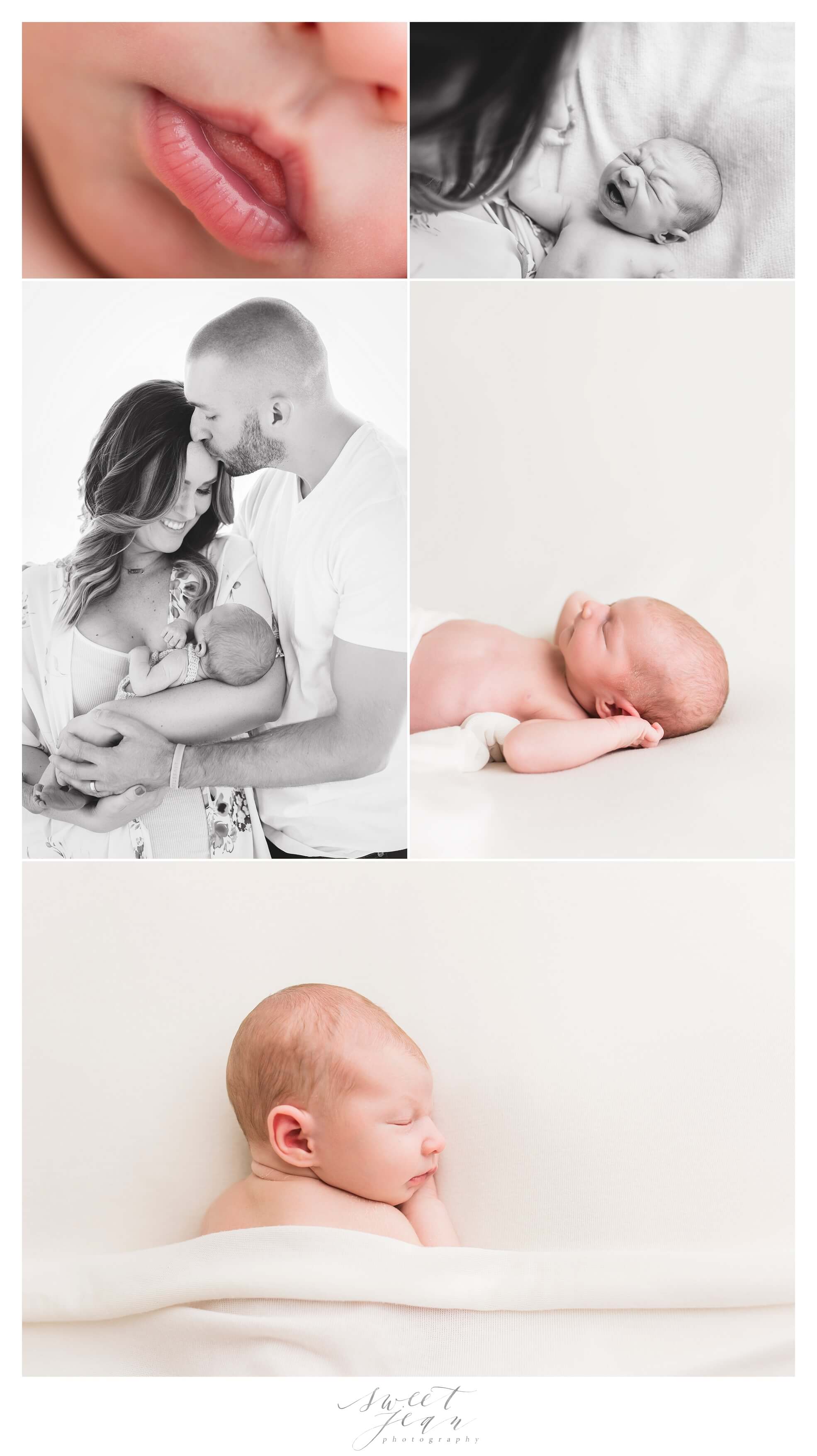 Roseville Newborn Portraits