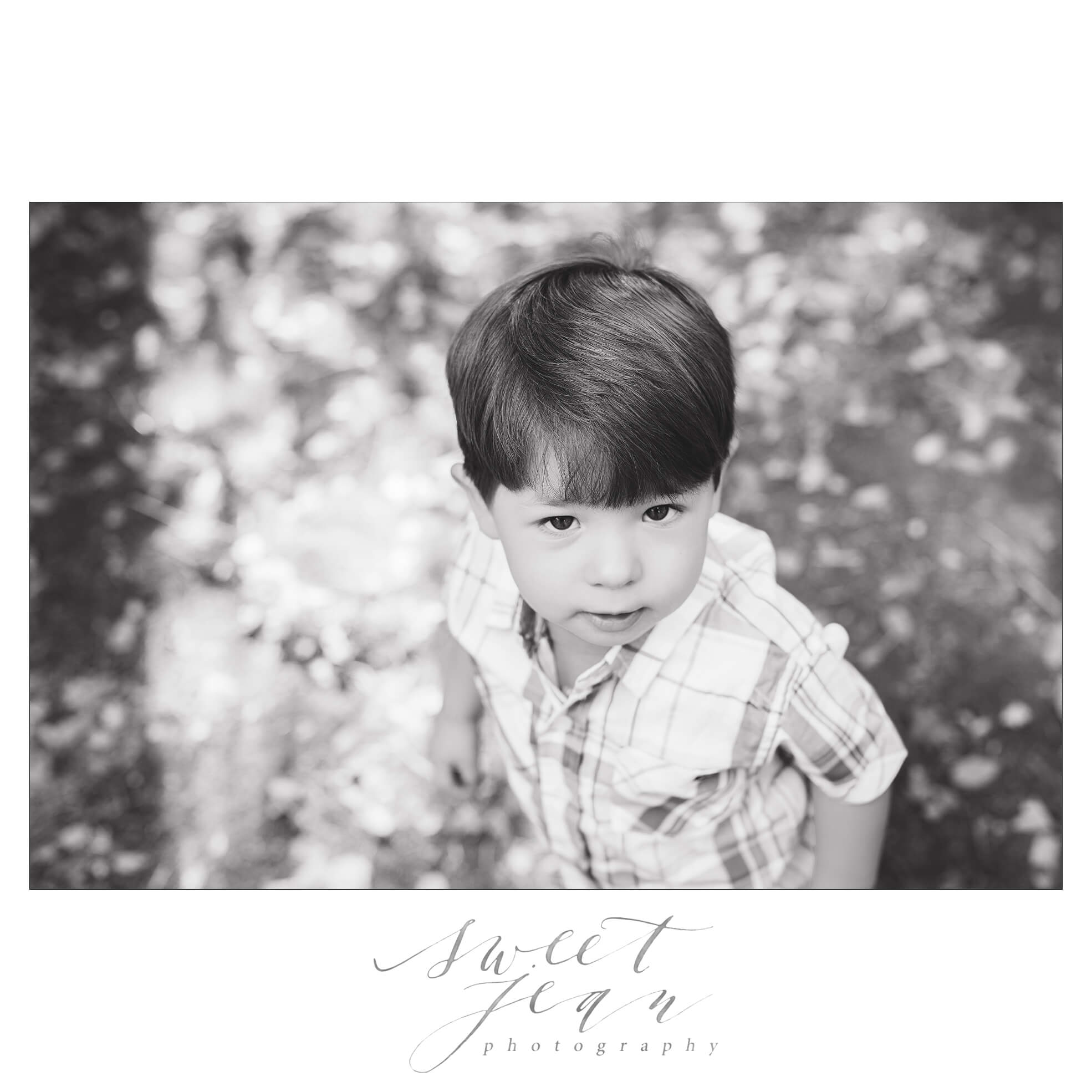 Roseville Child Photographer