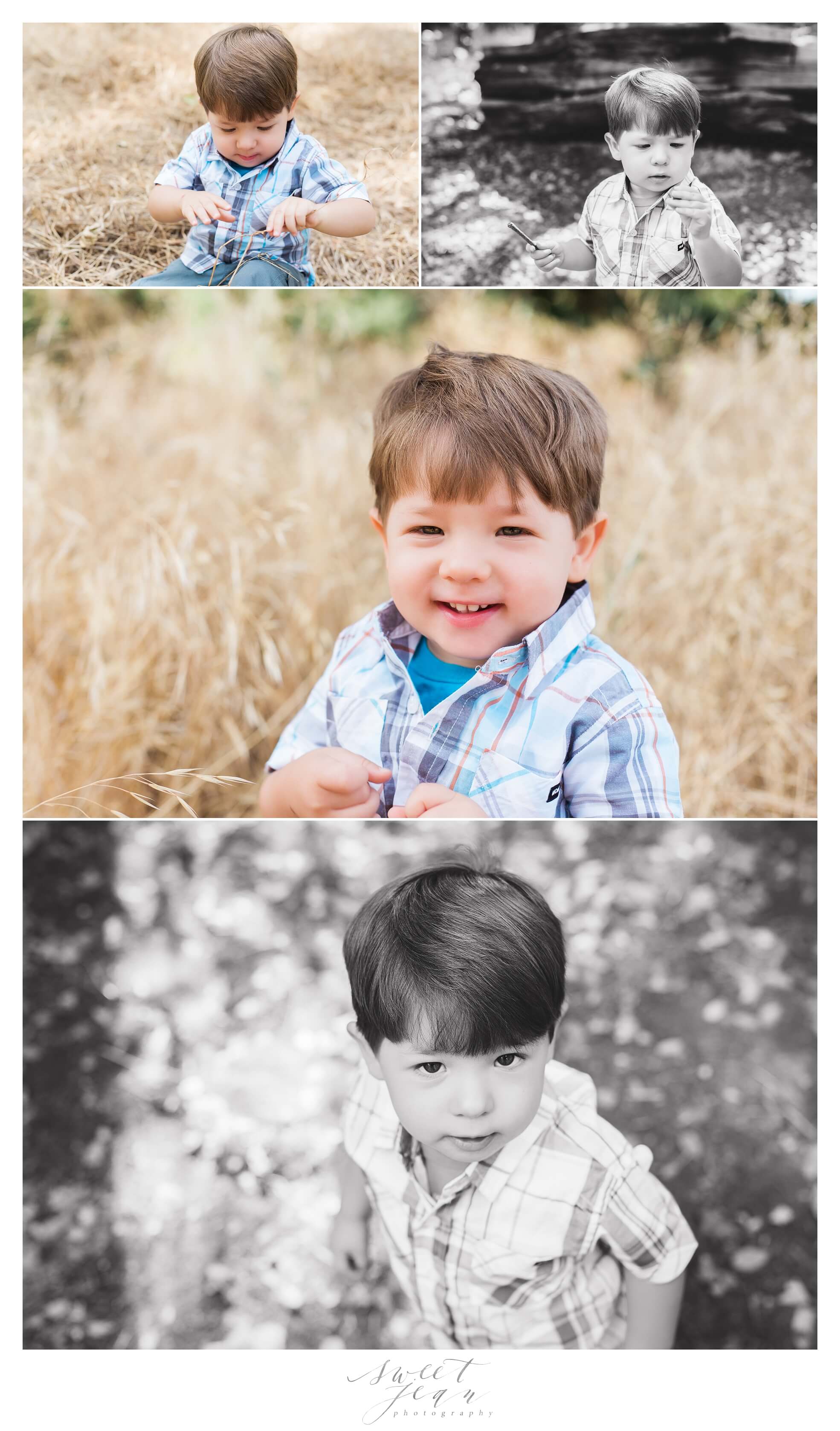 Roseville Child Photographer