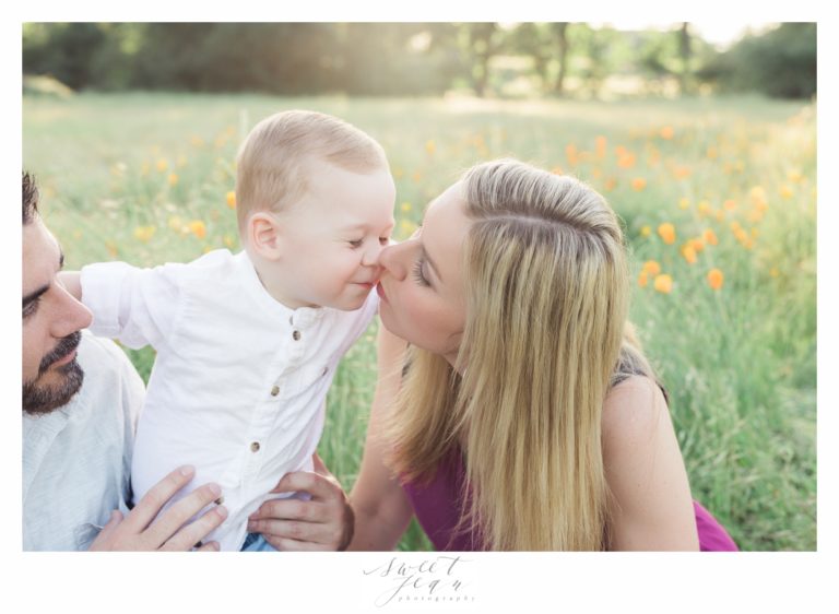 Darling Family Session in Roseville